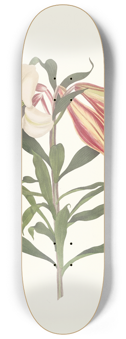 Priscilla Susan Bury - Lilium Japonicum. 8.25 inch art skate deck