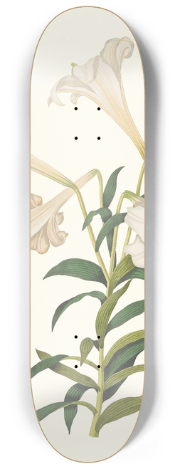 Priscilla Susan Bury - Lilium Longiflorum. 8.25 inch art skate deck