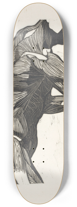 Reijer Stolk - Anatomische studie van de zij- en armspieren van een man 8.25 inch art skate deck