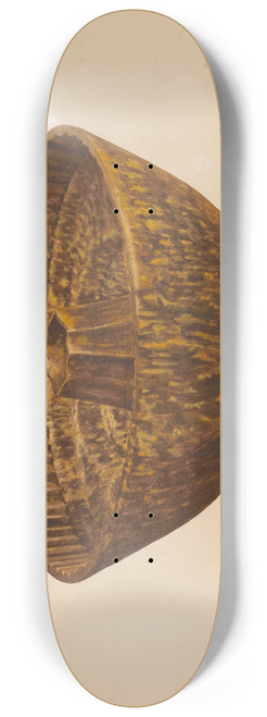 Richard Barnett - Cake Mold 8.25 inch art skate deck