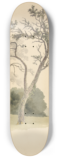 Robert Hills - Orchard Trees at Under River near Knole 8.25 inch art skate deck