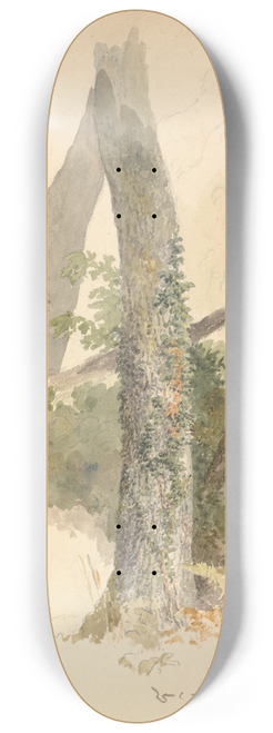 Robert Hills - Tree Study with Ivy Clinging to Stump 8.25 inch art skate deck