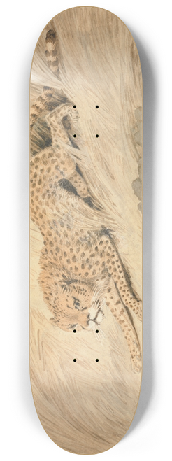 Samuel Howitt - A Cheetah Crouching by a Pool 8.25 inch art skate deck