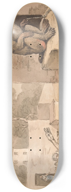 Samuel Howitt - A Goose and a Baboon 8.25 inch art skate deck