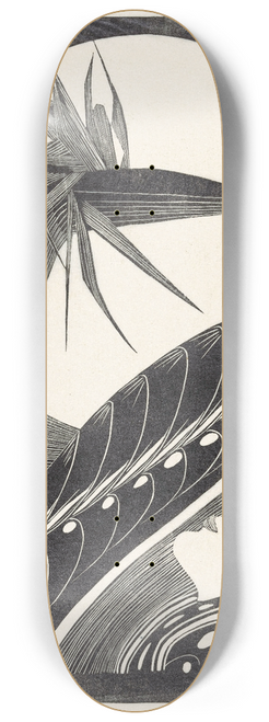 Samuel Jessurun de Mesquita - Uitgebloeide strelitzia 8.25 inch art skate deck