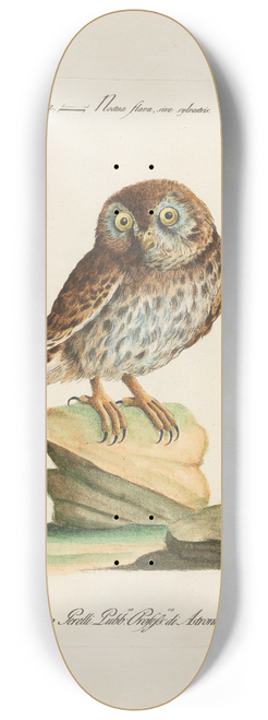 Saverio Manetti - Ornithologia methodice digesta Pl.087 8.25 inch art skate deck
