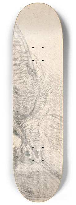 Sawrey Gilpin - Study of a Dead Woodcock and Another Bird 8.25 inch art skate deck