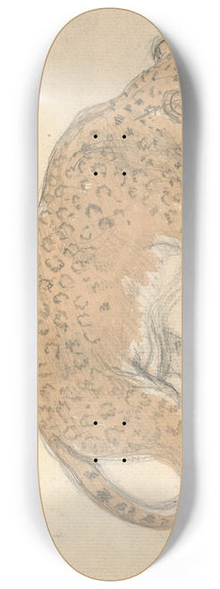 Sawrey Gilpin - Study of a leopard 8.25 inch art skate deck