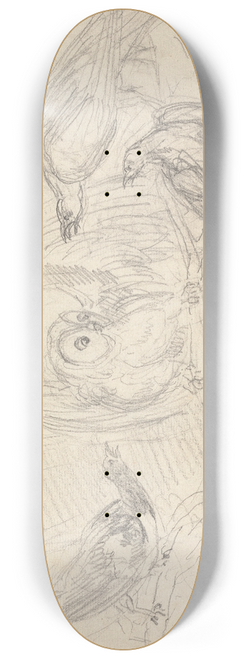 Sawrey Gilpin - Three Pheasants Surrounding an Owl 8.25 inch art skate deck