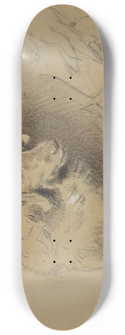 Sir Edwin Henry Landseer - Study of a Dog 8.25 inch art skate deck