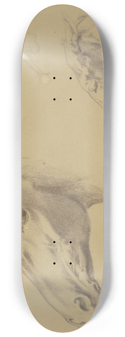 Teutwart Schmitson - Kopf eines Pferdes sowie eines Fohlens nach links 8.25 inch art skate deck