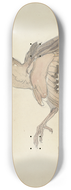 Theo van Hoytema - Dood vogeltje 8.25 inch art skate deck