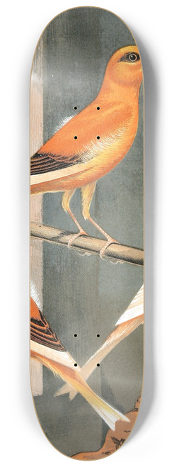 W. A . Blakston - Norwich Canaries 8.25 inch art skate deck