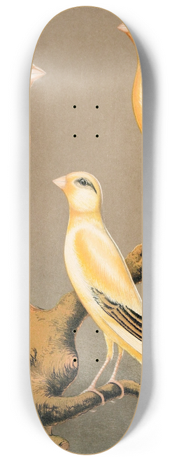 W. A . Blakston - Yorkshire Canaries-Evenly Marked Yellow And Buff, Clear Yellow 8.25 inch art skate deck W. A . Blakston - Yorkshire Canaries-Evenly Marked Yellow And Buff, Clear Yellow 8.25 inch art skate deck