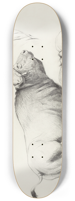 Wilhelm Kuhnert - Cape Buffalo 8.25 inch art skate deck