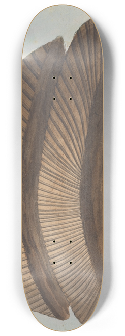 Willey Reveley - Back View of the Head of the Sphinx 8.25 inch art skate deck