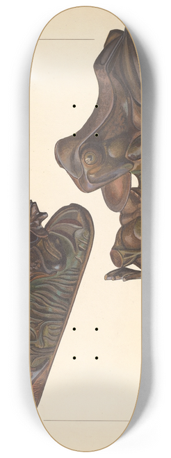 William O. Fletcher - Toy Bank  Frog 8.25 inch art skate deck