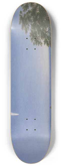 William Turner of Oxford - Donatis Comet 8.25 inch art skate deck