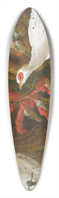 Abraham Bisschop - A Sulphur-Crested Cockatoo, A Red-Crested Cardinal And A White Pheasant In A Landscape With A Fallen Urn In The Background 39.3 inch art pintail longboard deck