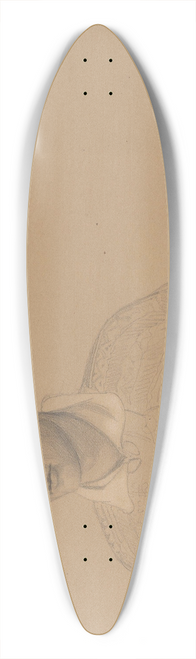 Adolph Tidemand - Arne Bjugsen Sagneskar, Valle i Setesdal 39.3 inch art pintail longboard deck