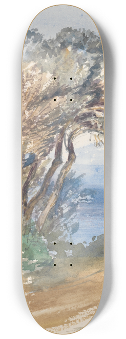 Barbara Bodichon - Sketchbook 8.25 inch art skate deck