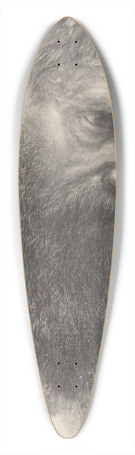 Adolph von Menzel - Head of a Bearded Man in Half-Profile 39.3 inch art pintail longboard deck
