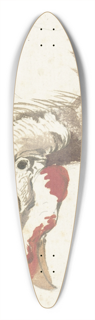 Aert Schouman - Head of a Helmeted Guineafowl 39.3 inch art pintail longboard deck