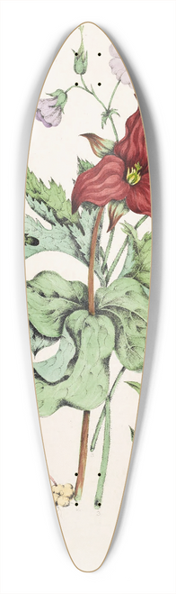 Agnes Fitzgibbon - Squirrel Corn, Purple Trillium, Wild Cranes Bill, Star Flower Chickweed 39.3 inch art pintail longboard deck