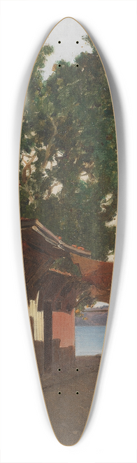 Alberto Pasini - Beicos  via tra Beicos e il Bosforo, Instanbul 39.3 inch art pintail longboard deck