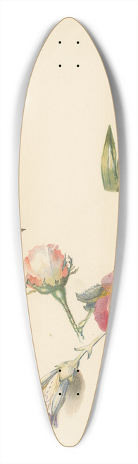 Albertus Steenbergen - Studieblad met drie rozen en een iris 39.3 inch art pintail longboard deck