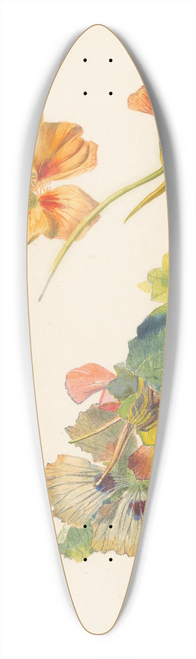 Albertus Steenbergen - Studieblad met Oost-Indische kers 39.3 inch art pintail longboard deck