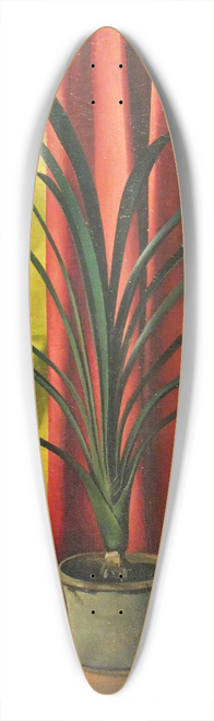 Alexander Kanoldt - Still Life 39.3 inch art pintail longboard deck