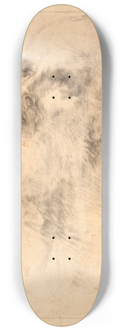 Bartolom Estebn Murillo - Head of an Old Man 8.25 inch art skate deck