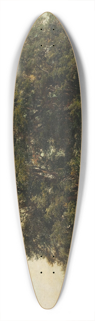 Alois Kirnig - Zmeck park v Zahrdkchs 39.3 inch art pintail longboard deck