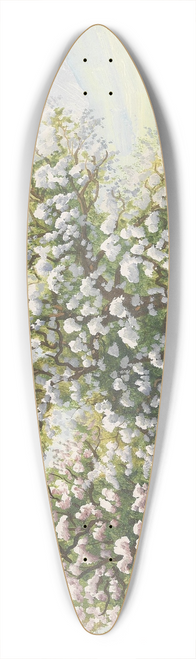 Alois Tott - Blhende Obstbume 39.3 inch art pintail longboard deck