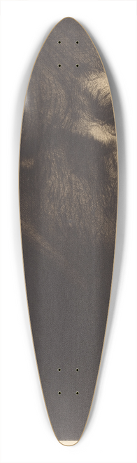 Alphonse Legros - Head Of A Beggar (Tete De Mendiant) 39.3 inch art pintail longboard deck