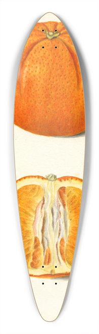 Amanda Almira Newton - Citrus sinensis 39.3 inch art pintail longboard deck