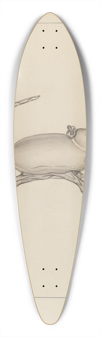 American 20th Century - Glass Mouse 39.3 inch art pintail longboard deck