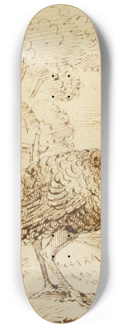 Benjamin West - Turkey 8.25 inch art skate deck