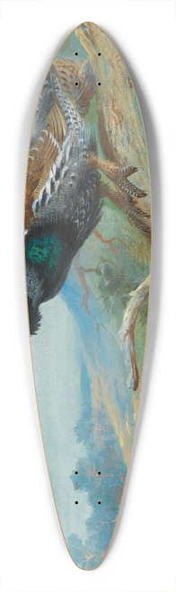 Archibald Thorburn - Capercaillie 39.3 inch art pintail longboard deck