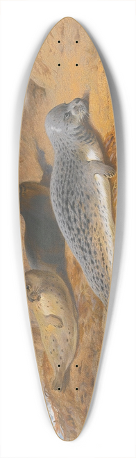 Archibald Thorburn - Grey And Harbour Seals At Rest 39.3 inch art pintail longboard deck