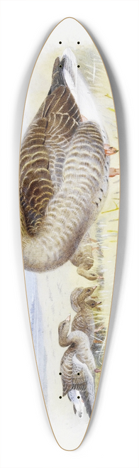 Archibald Thorburn - Greylag Goose 39.3 inch art pintail longboard deck