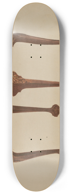 Bernard Krieger - Tea Table 8.25 inch art skate deck