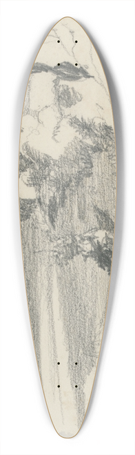 Barbara Bodichon - Sketchbook 39.3 inch art pintail longboard deck