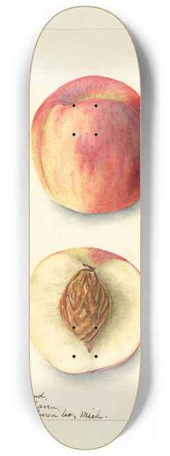 Bertha Heiges - Prunus persica: Zea 8.25 inch art skate deck