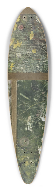 Bruno Liljefors - Four Bird Studies, Red-Backed Shrike, Corncrake, Chaffinches, Willow Warbler 39.3 inch art pintail longboard deck