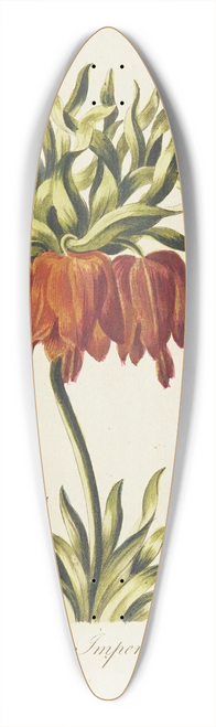 Carington Bowles - Crown imperial 39.3 inch art pintail longboard deck
