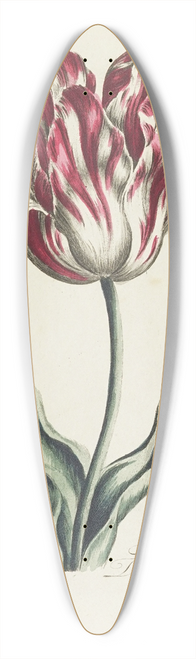 Carington Bowles - Tulip 39.3 inch art pintail longboard deck