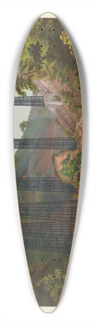 Casimiro Castro - Puente de Metlac, plate 13 39.3 inch art pintail longboard deck
