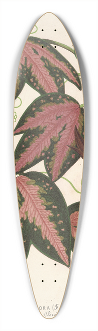 Charles Antoine Lemaire - Passiflora trifasciata 39.3 inch art pintail longboard deck